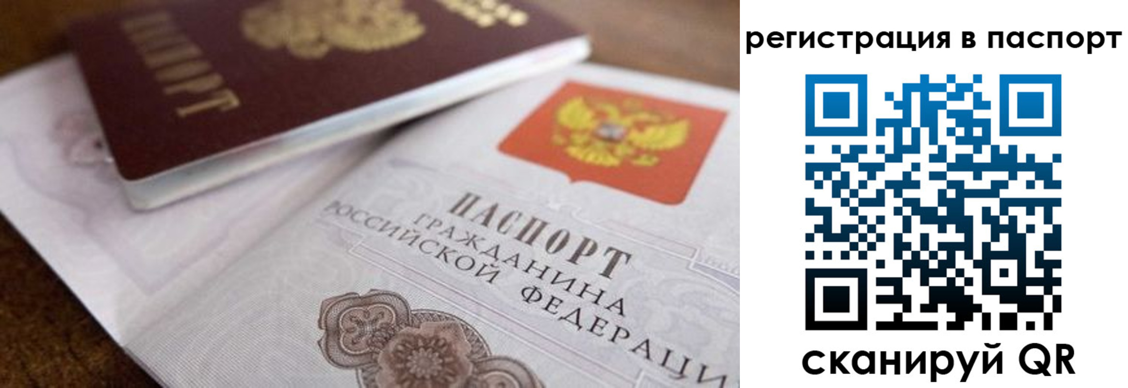 прописка в Старом Осколе